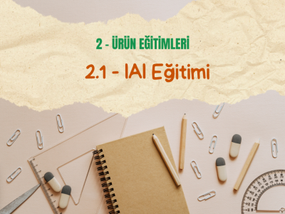 2.1 IAI Eğitimi