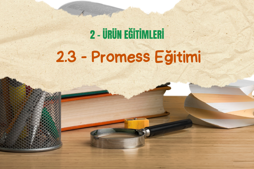 Promess Eğitimi